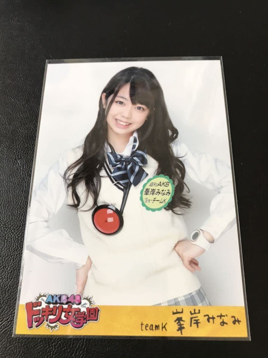 AKB48 峯岸みなみ 生写真 セット みぃちゃん 元AKB48 峯岸みなみ (みぃちゃん) サイズいろいろ♪切り抜き