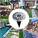 DUUDO Solar Outdoor Lights 8 Packs, Solar Garden Lights 10 LED Waterproof Outdoor Lights Solar Pathway Lights Landscape Lights in-Ground Lights for Lawn, Yard, Driveway, Step and Walkway Cold White