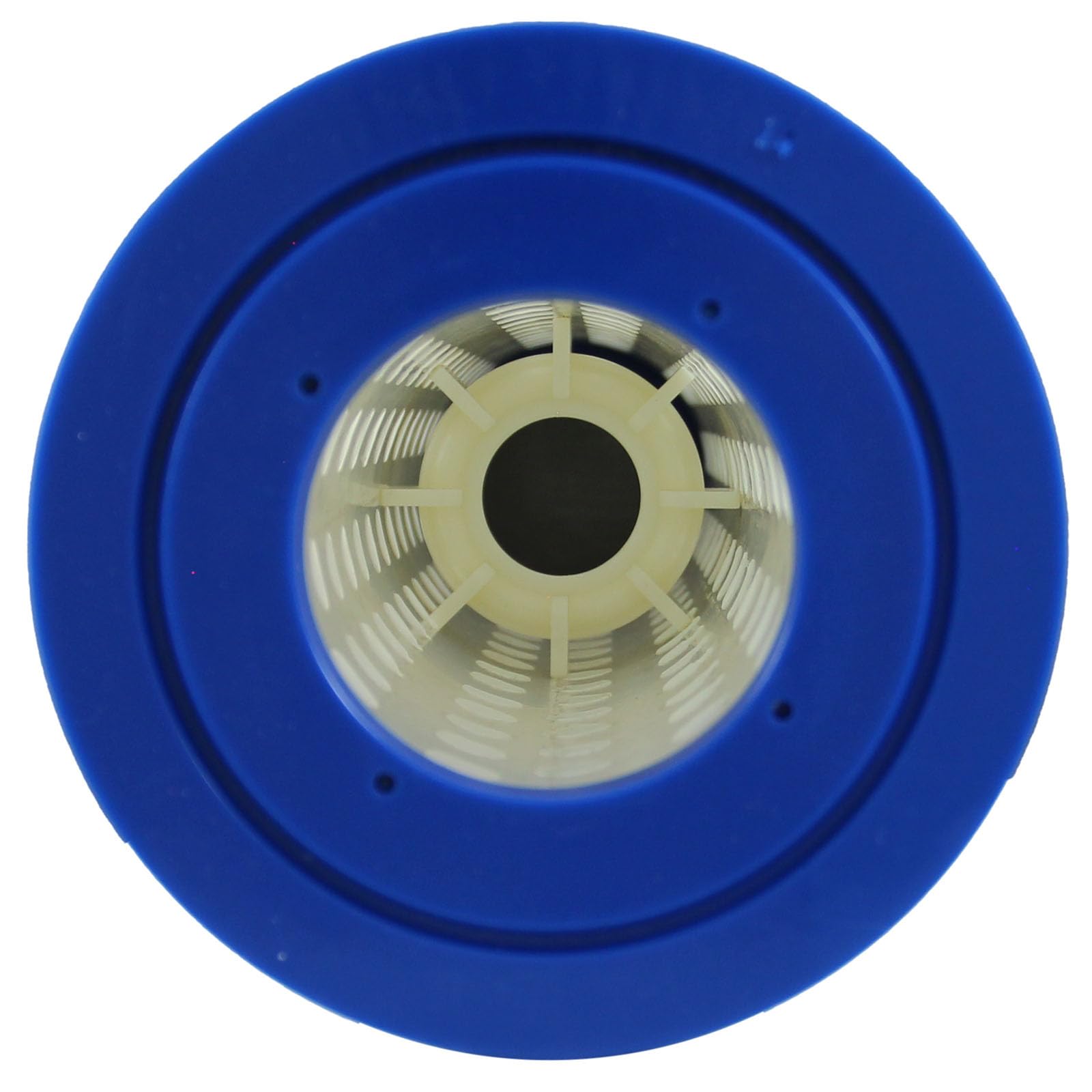 Pentair 178654 Cartuccia di Ricambio per Quad 60 per Piscine e Spa de Filter