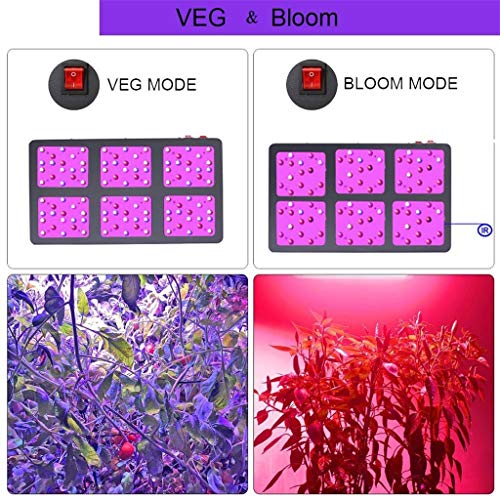 ZJX-F LED Plant Growth Greenhouse Indoor Fill Light Flowers Succulents Full Spectrum Garden Lights 900W AC85-264V (Size : 900W)