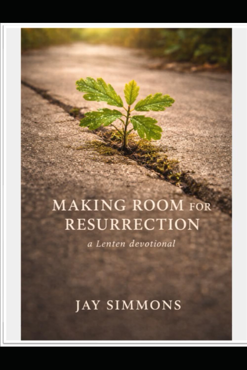 Making Room for Resurrection: a Lenten devotional