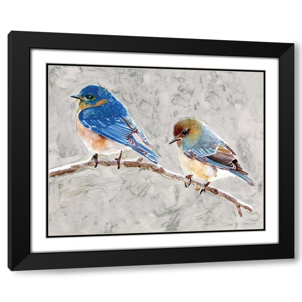 ArtDirect Eastern Bluebirds 1 18x15 Black Modern Wood Framed with Double Matting Museum Art Print by Stellar Design Studio