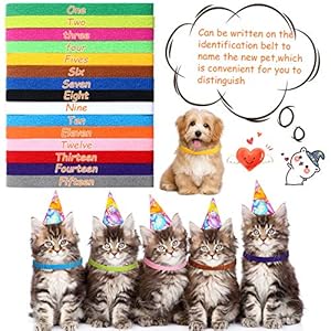 45-Pieces-Puppy-Whelping-Collars-Double-Sided-Newborn-Pet-Identification-Bands-3-Sizes-Adjustable-Puppy-Collars-Soft-Colorful-Whelp-ID-Collars-for-Pet-Puppy-Kitten-15-Colors - Cucciolini Doodles   45-Pieces-Puppy-Whelping-Collars-Double-Sided-Newborn-Pet-Identification-Bands-3-Sizes-Adjustable-Puppy-Collars-Soft-Colorful-Whelp-ID-Collars-for-Pet-Puppy-Kitten-15-Colors