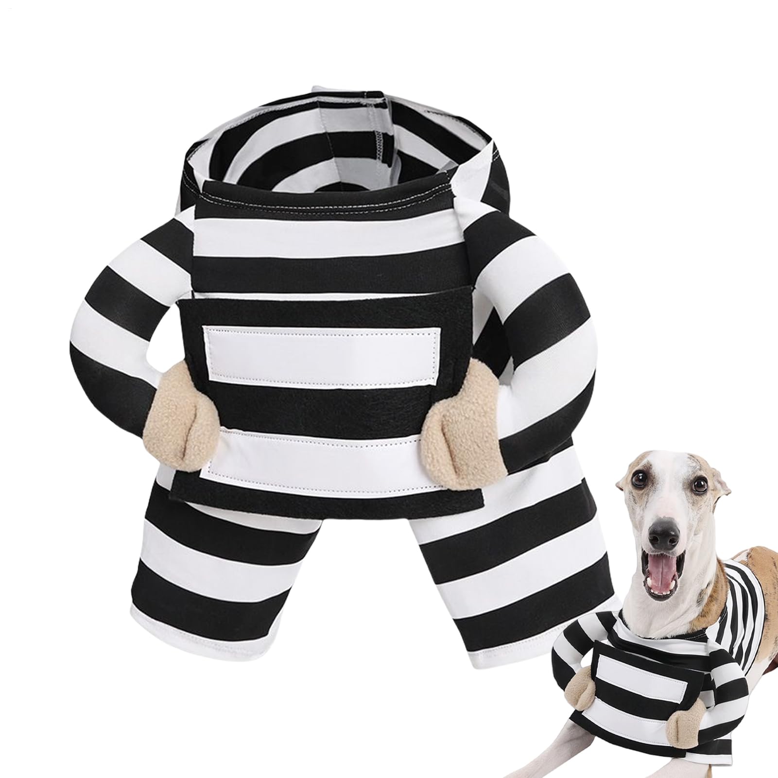 Costume d'Halloween pour animal domestique pour la récolte des bonbons