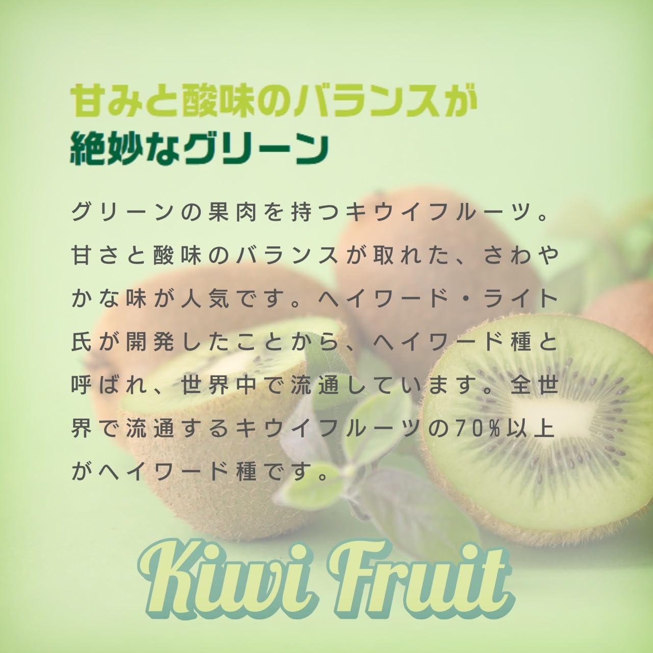 キウイフルーツ(グリーン) 30個×2箱(60個) 食品 【大好評！】キウイフルーツ(グリーン) 30個×2箱(60個)
