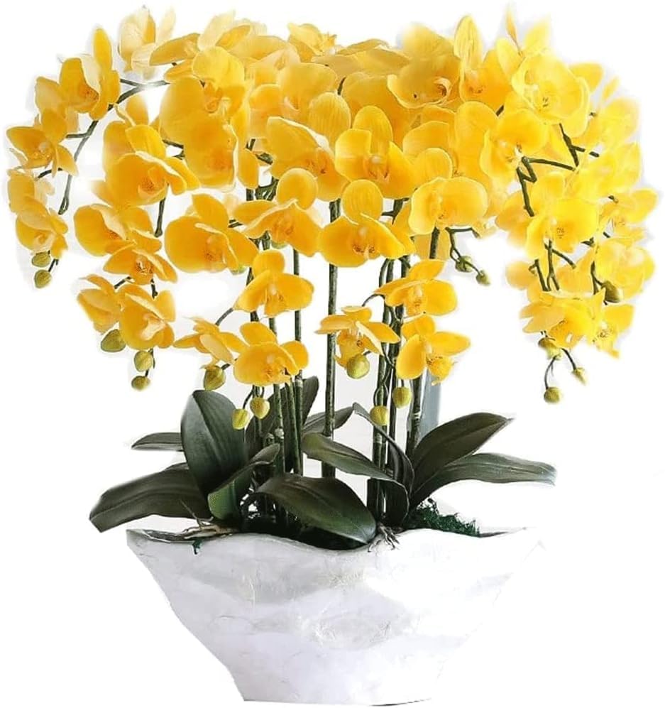 Orchidées artificielles : offrez une touche florale éternelle