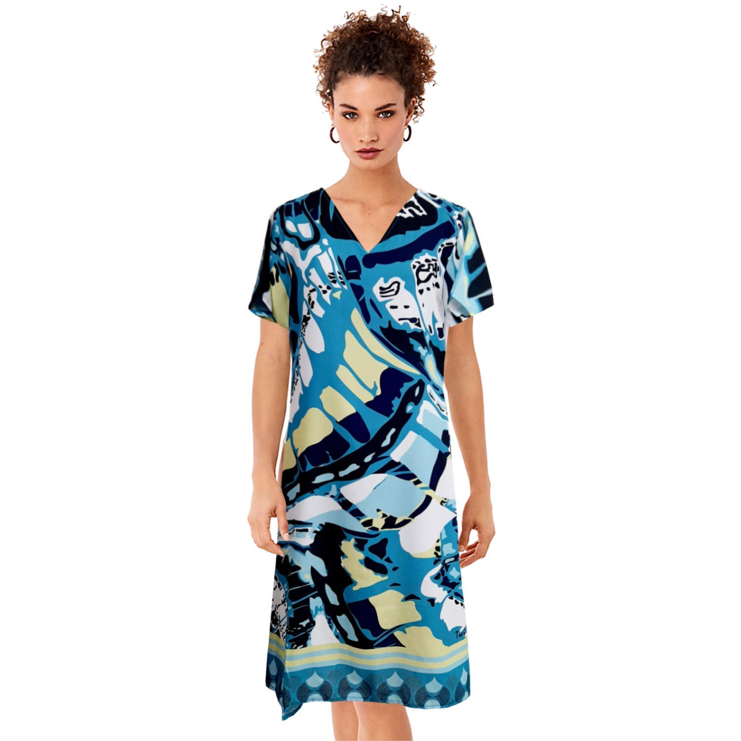 Aakar Women's V-Neck Printed Casual Dress (CLR04)
