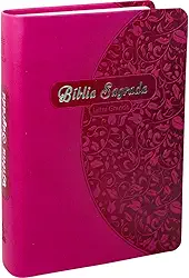 Bíblia Sagrada NTLH Letra Grande | Letra Grande SBB: Nova Tradução na Linguagem de Hoje (NTLH)
