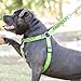 Friendly (Known as Friendly to All) Green Colour Coded Non Pull L-XL Dog Harness Prevents Accidents by Warning Others of Your Dog in Advance