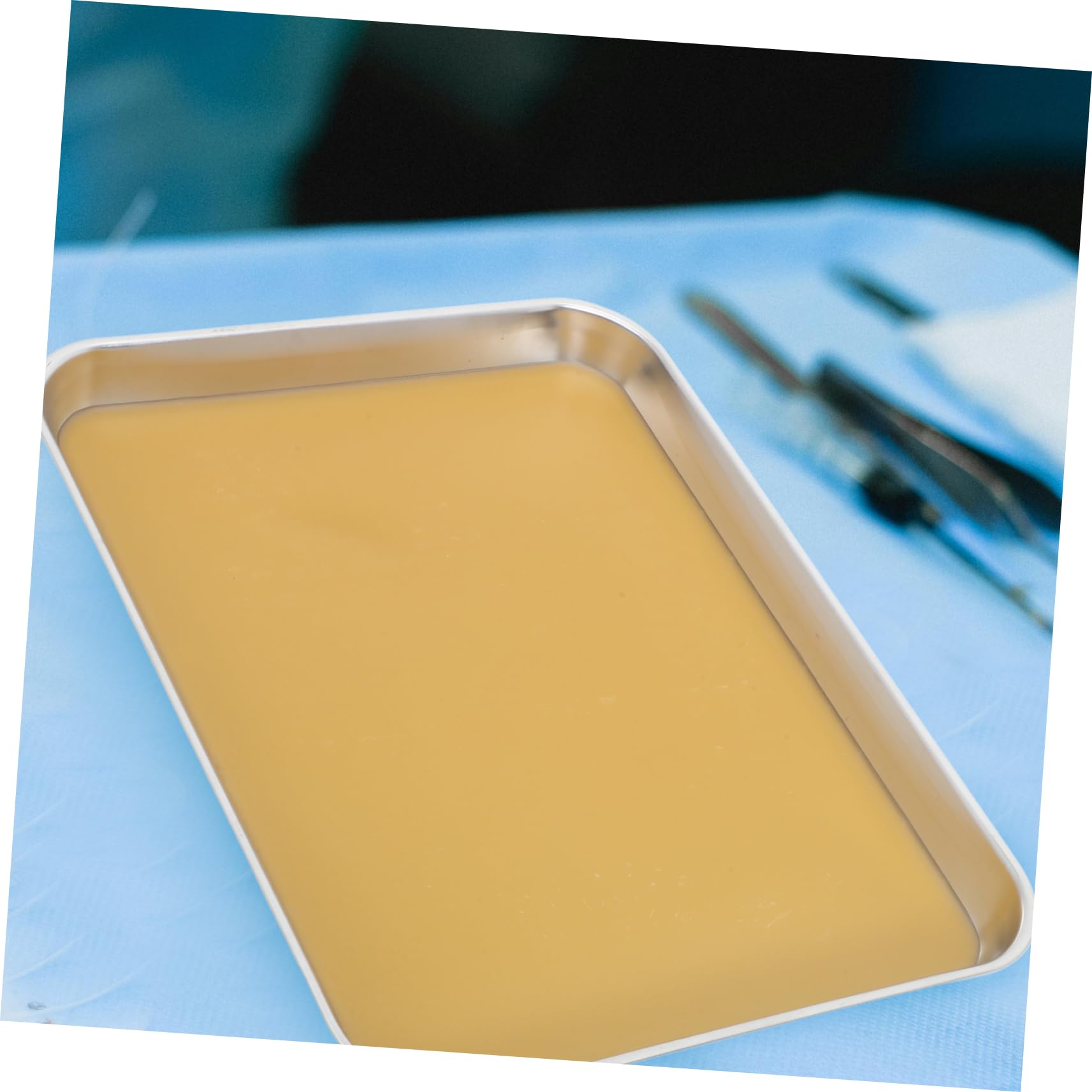 Acier Plateau de Dissection Inoxydable en Étudiants en Biologie