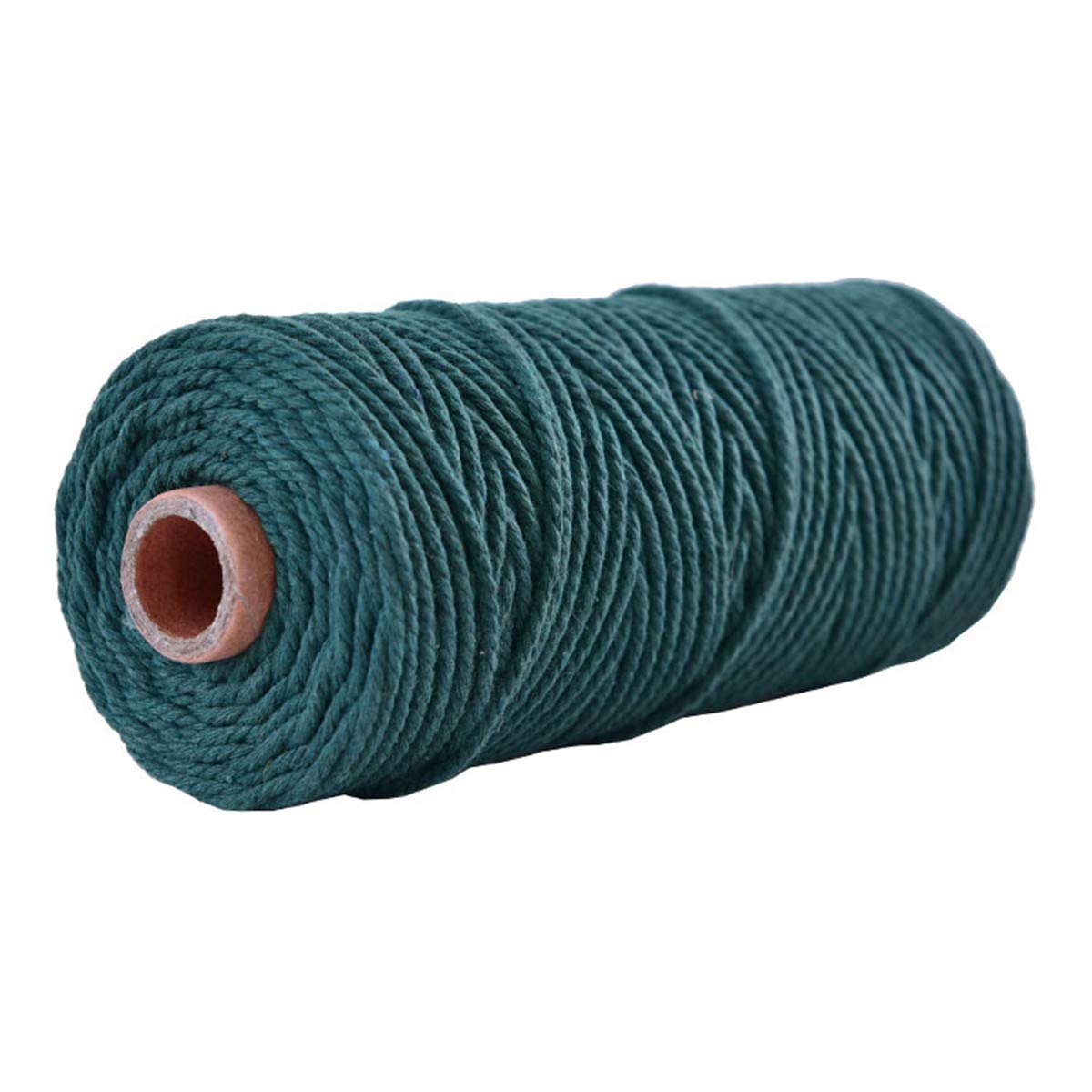 Vivianbuy Teal 2mm Dia 328ft Macrame Cotton Cord Twist Macrame String Soft Macrame Rope for Handmade Plant Hanger Craft Making and DIY Projects