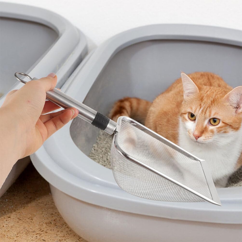 iplusmile 5pièces Pelle à Litière pour Chat Acier avec Capacité Pratique pour Litière De Chat Outil De Nettoyage pour Animaux De Compagnie