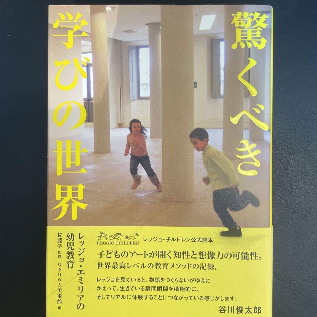 驚くべき学びの世界―レッジョ・エミリアの幼児教育 DVD レッジョ・エミリアの幼児教育1 | ON SUNDAYS
