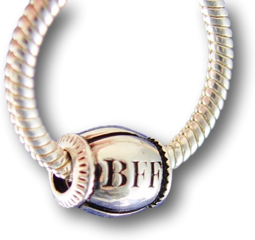 LifeSong Collection Women's Sterling Silver Plated European Charm Bead BFF Best Friends Forever