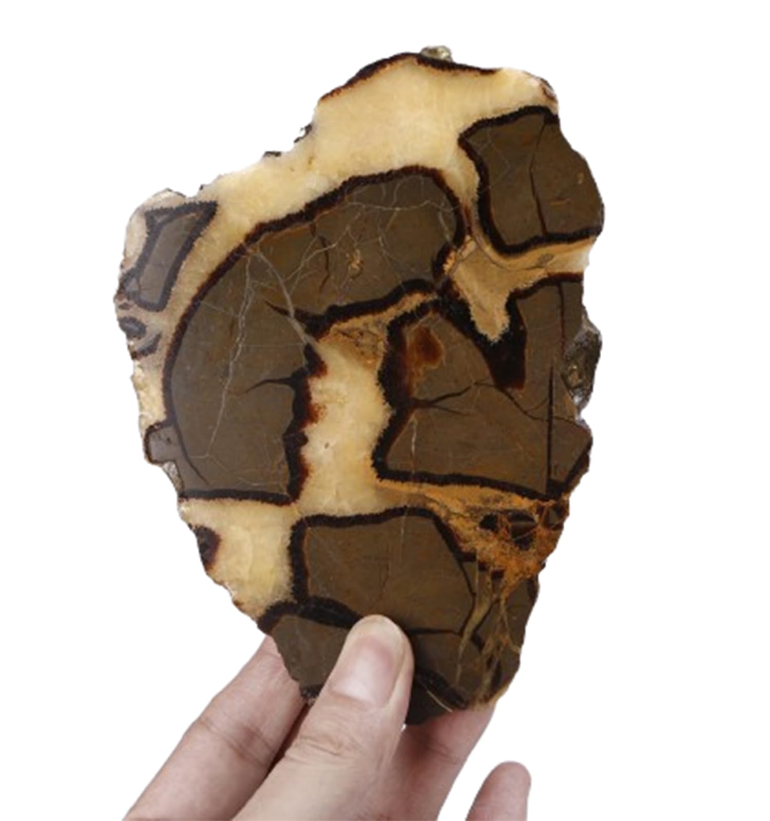 HUJWLBWF Septarian Dragon Stone Slice - Polished Rough Crystal Stones with Pattern, Raw Crystal Geode Desk Decor for Home Office Decorative,500~560g