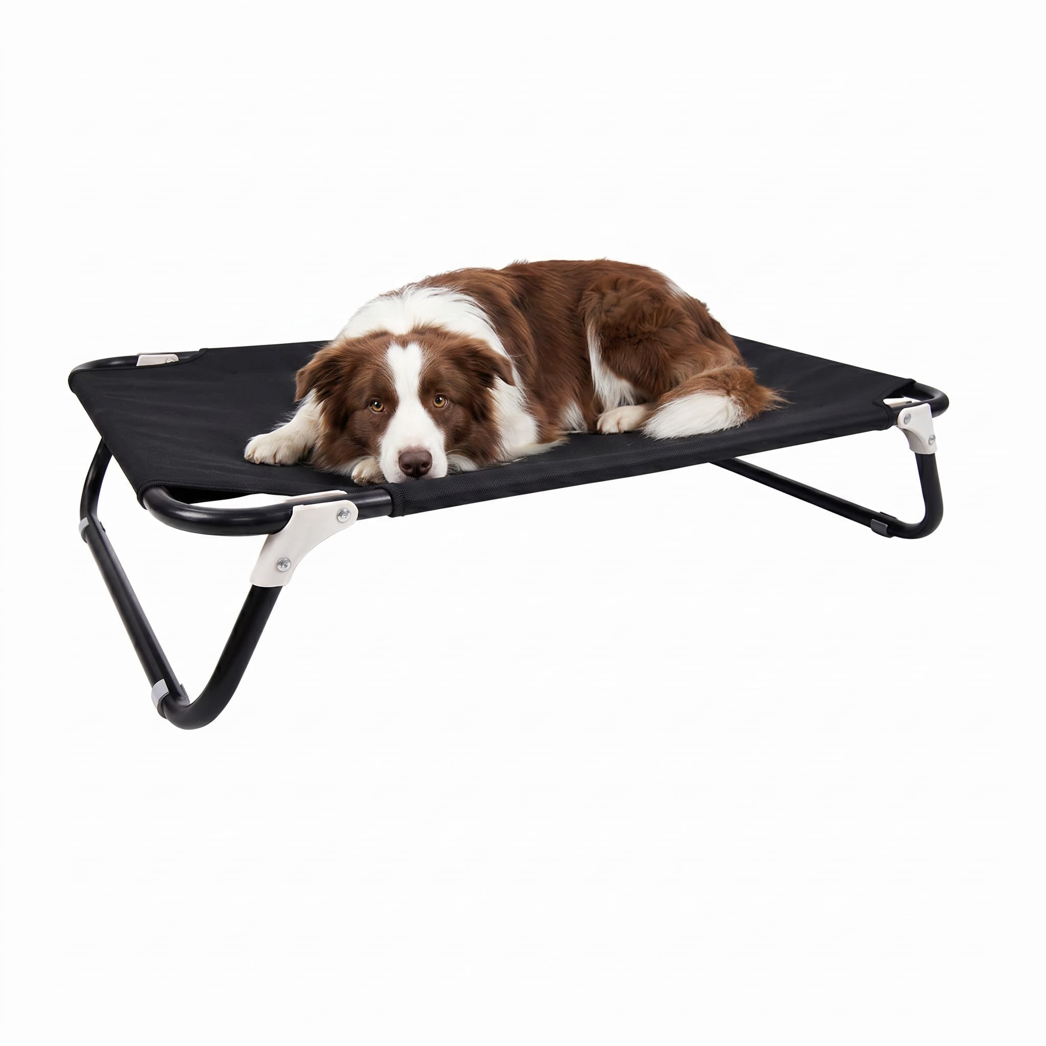 Italian Bed Linen Sogni e Capricci - Brandina Pieghevole per Cani e Gatti, Lettino Rialzato da Esterno e Interno, Struttura Resistente,Nero, 105 x 65 x 18 cm