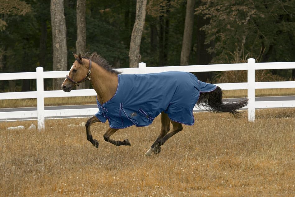 Image of TUFFRIDER 1200 D Comfy Medium Weight 200G Standard Neck Winter Horse Blanket, Palace Blue,