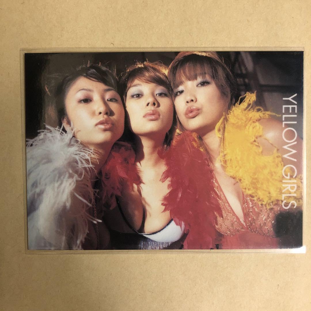 Amazon.co.jp: 佐藤江梨子 小池栄子 MEGUMI 2002 sabra トレカ カード 