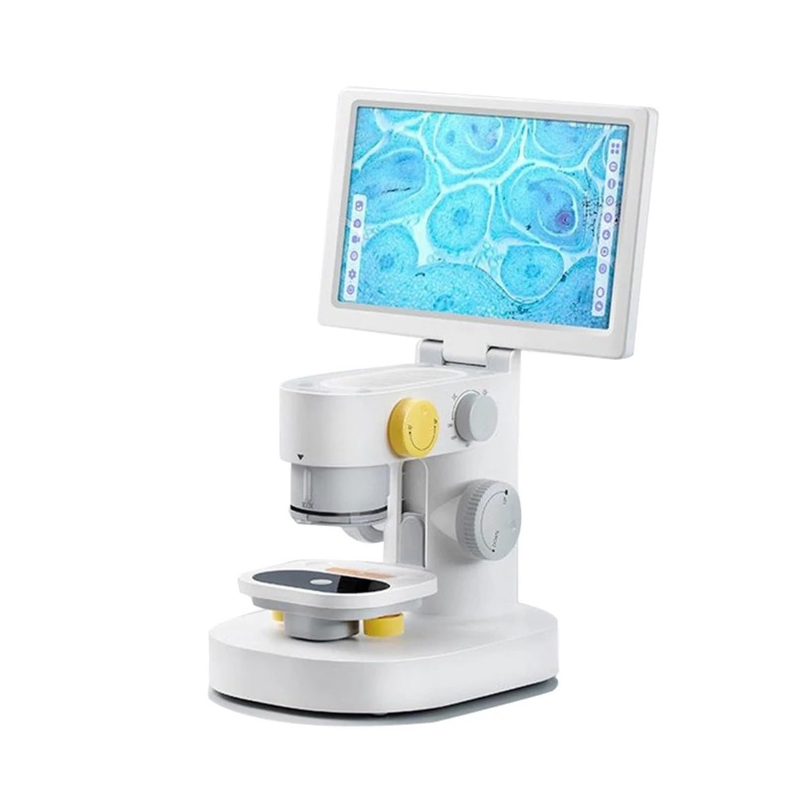 Microscopio Biologico Digitale Con Tripla Fotocamera 1200X 9 '' IPS Touch Screen 1080P Slide Rilevatore Bio Intelligente For Bambini Adulti Chiaro E Preciso