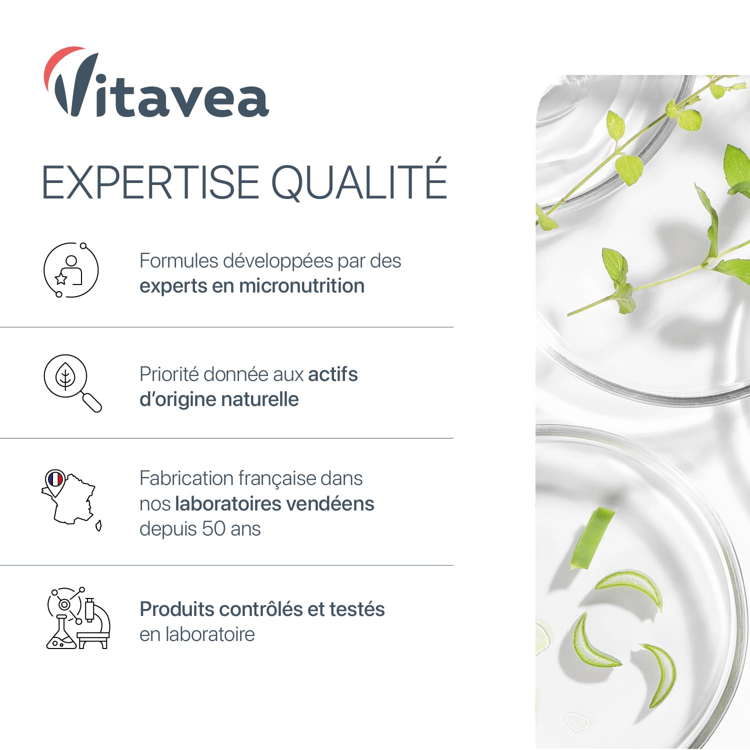 Cortisol Control – Complément anti-stress & fatigue – Ashwagandha, Rhodiola, Bacopa, L-théanine, Magnésium – 120 gélules Végan – Fabriqué en France – Vitavea