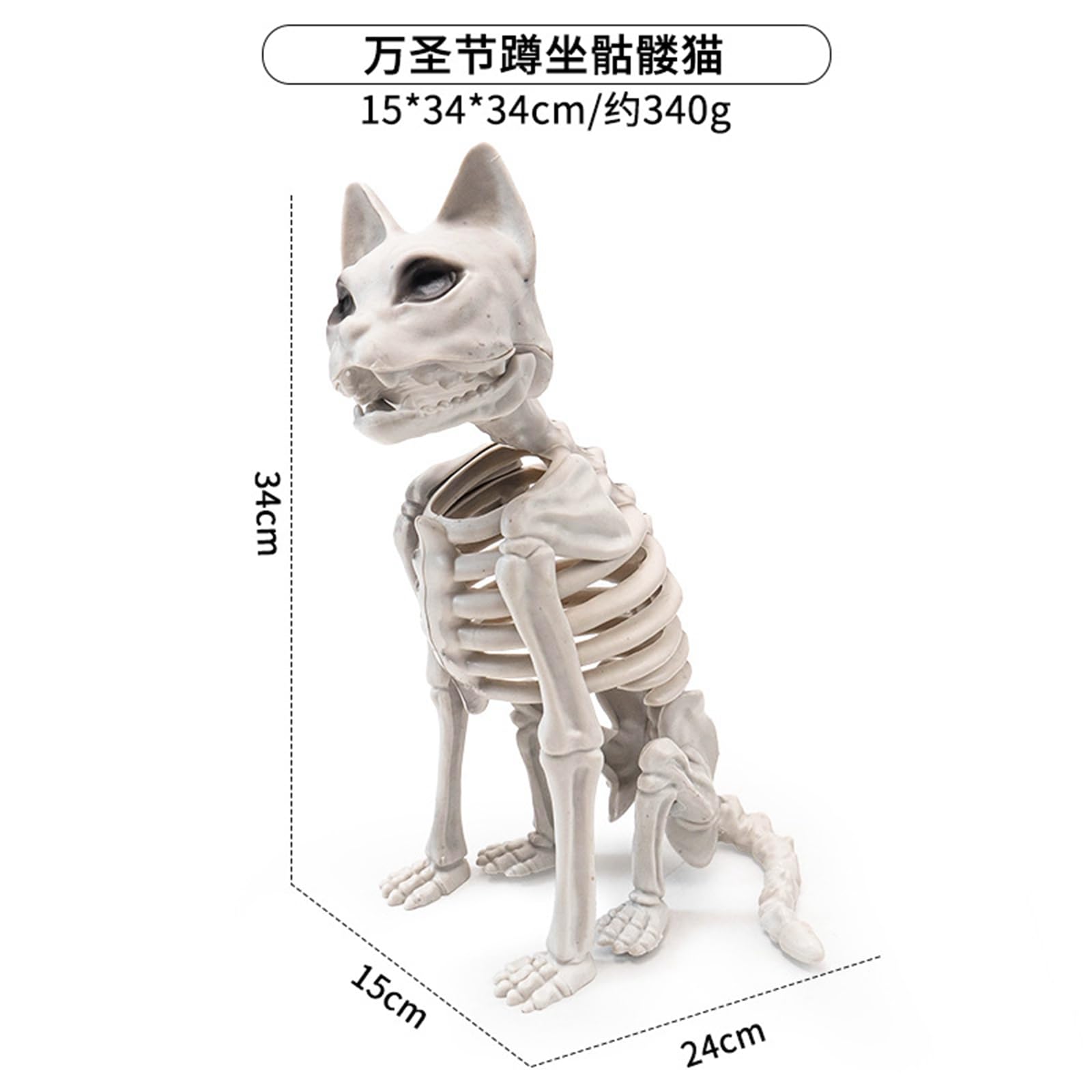 Amazon.co.jp: Milageto リアルな猫の骸骨 ハロウィン骸骨