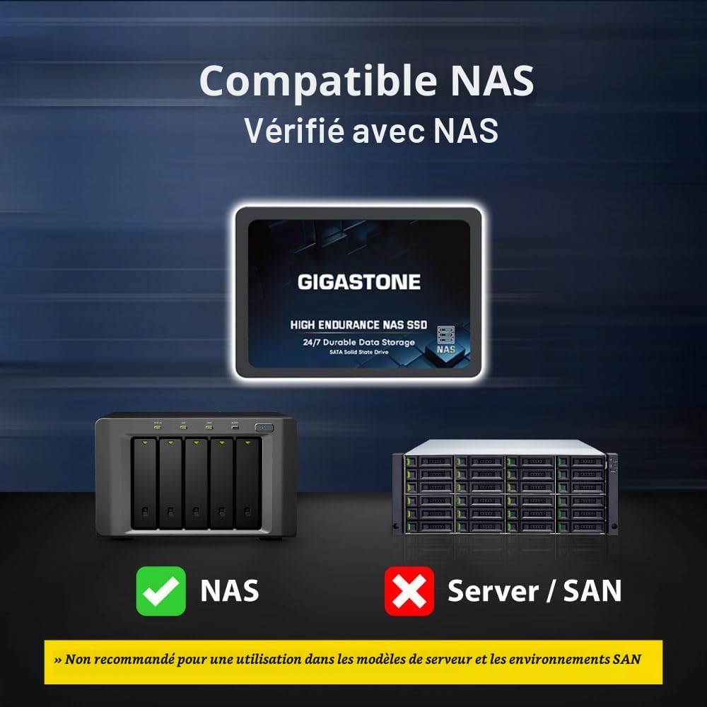 Gigastone Certifié NAS 4To NAS SSD Disque 24 h/24, 7 j/7 Durable Endurance élevée Raid Synchro sécurisée des données Cache de Stockage en réseau 2,5 Pouces SATA Disque Dur ssd Interne