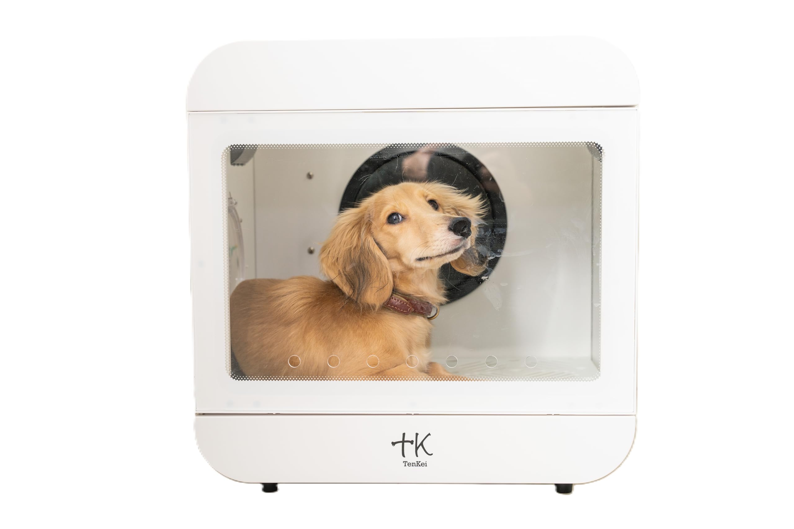 Amazon | 十K ペット用箱型ドライヤー, 犬,猫,ハイエンドメタル仕様