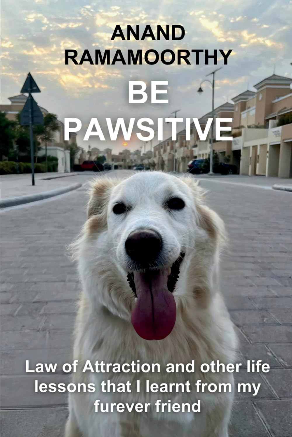 Be Pawsitive: Law of Attraction and other life lessons that I learnt from my furever friend