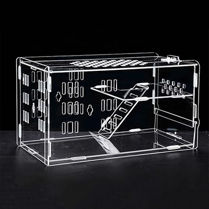 acrylic hamster tank