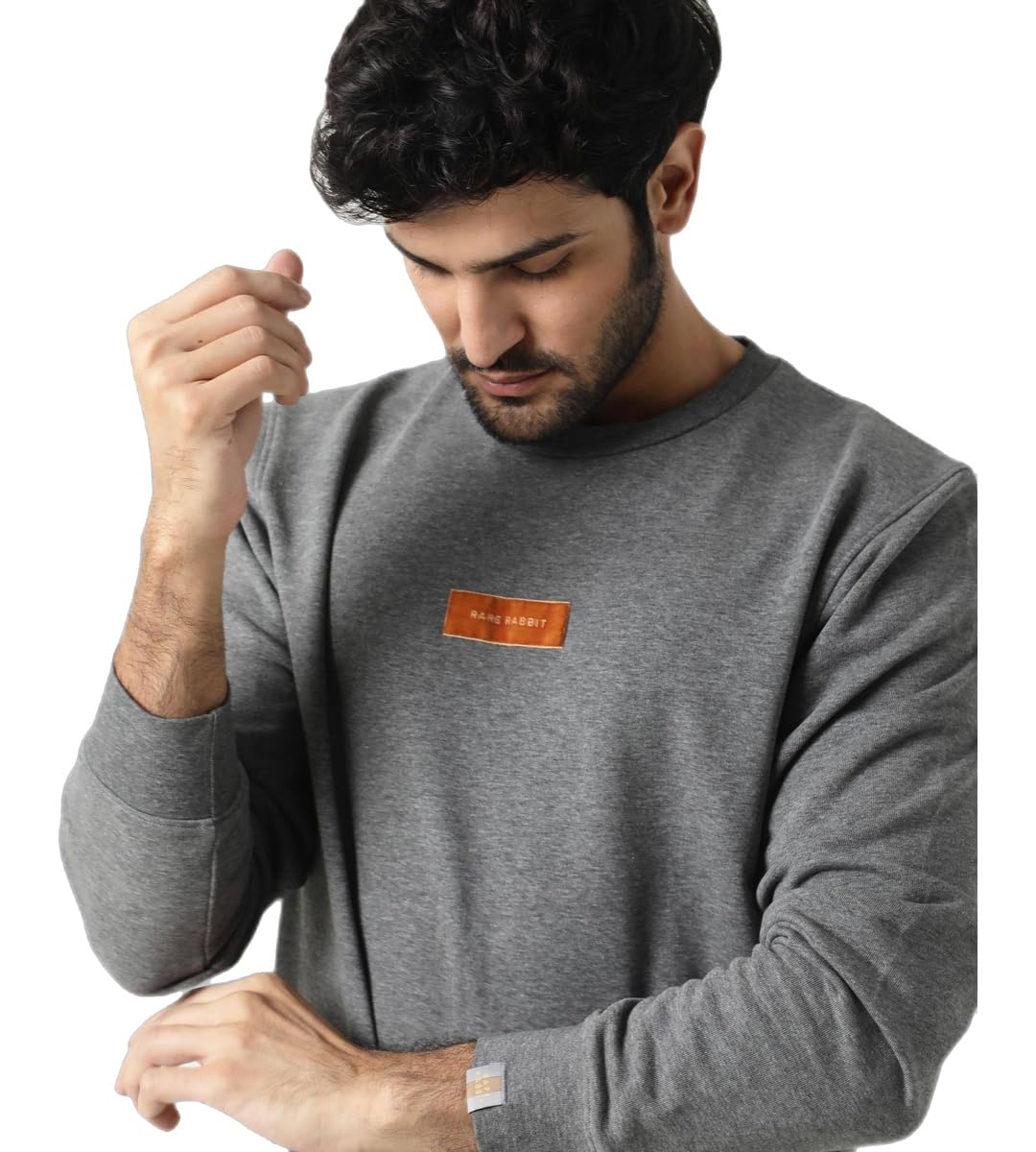 rare rabbit Men's Velveto Regular Fit Solid Cotton Crew Neck Sweatshirt-picture-21