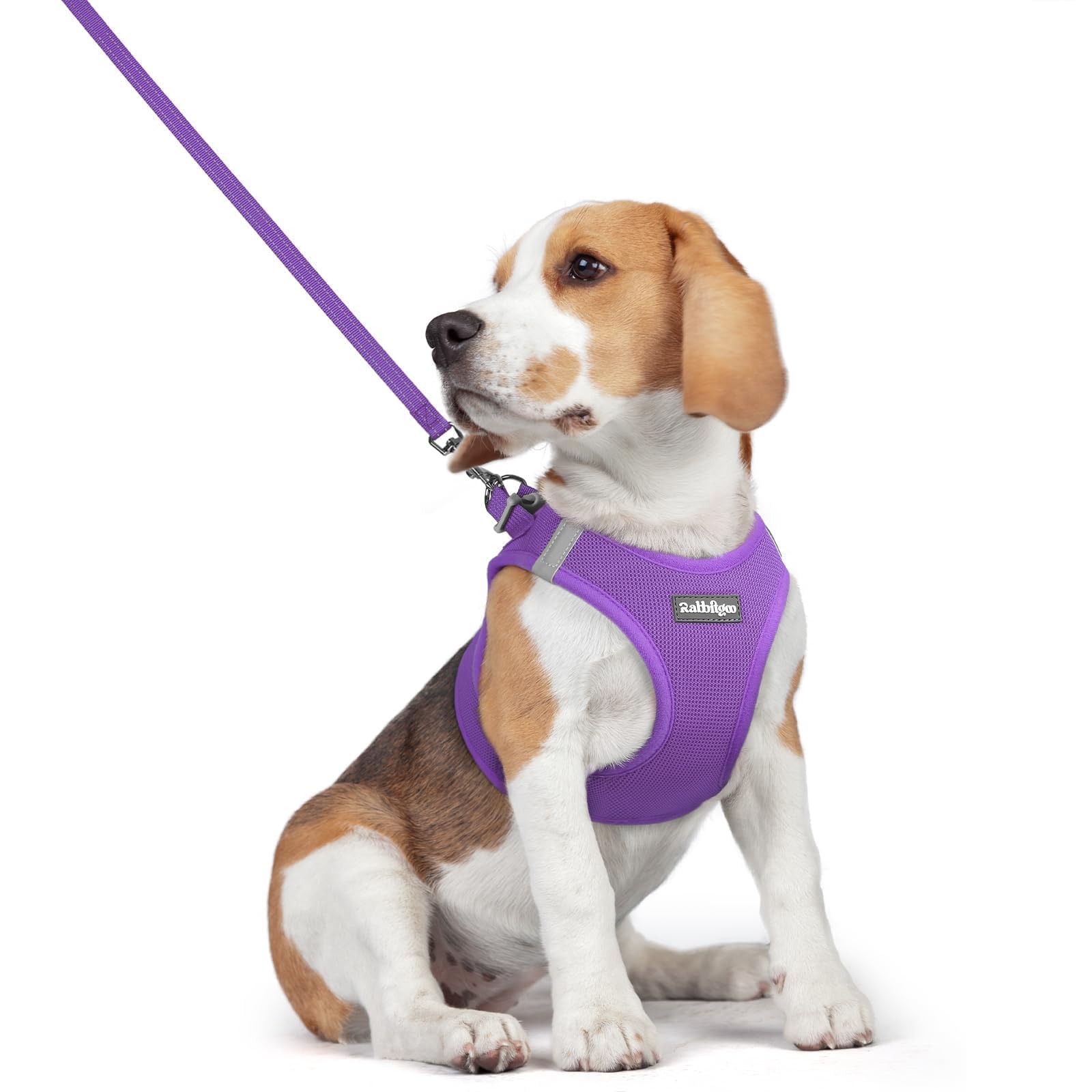 rabbitgoo Dog Harness Small Dog and Leash Set, Step-in Soft Mesh Puppy Harness with Reflective Strips, Lightweight Breathable Pet Vest for Walking Training, Purple, L