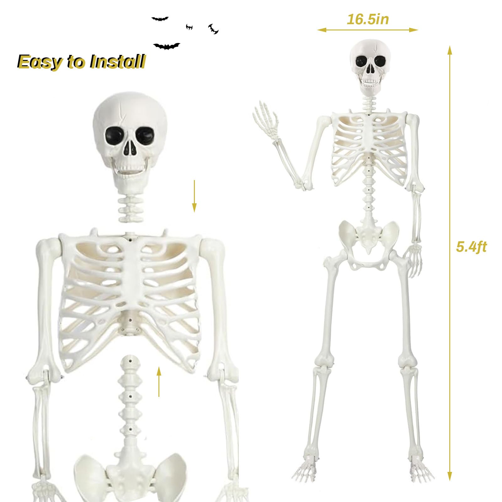 Squelette Halloween Décoration, 165cm Squelette Humain Taille Réelle, Squelette d'halloween pour Intérieure et Extérieure, Posable Skeleton for Halloween Garden Graveyard Decorations