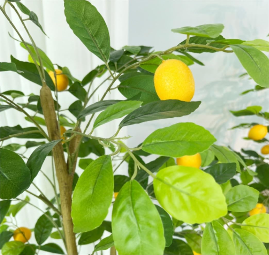 光触媒　人工観葉植物　ウォールグリーン　フェイクグリーン　レモン1.25m 楽天市場】観葉植物 実付レモンの木 レモンの木 レモン 90/120