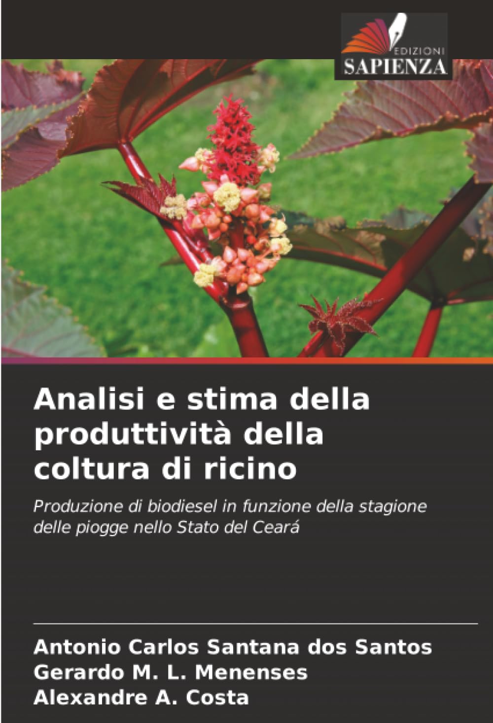 Analisi e stima della produttività della coltura di ricino: Produzione di biodiesel in funzione della stagione delle piogge nello Stato del Ceará