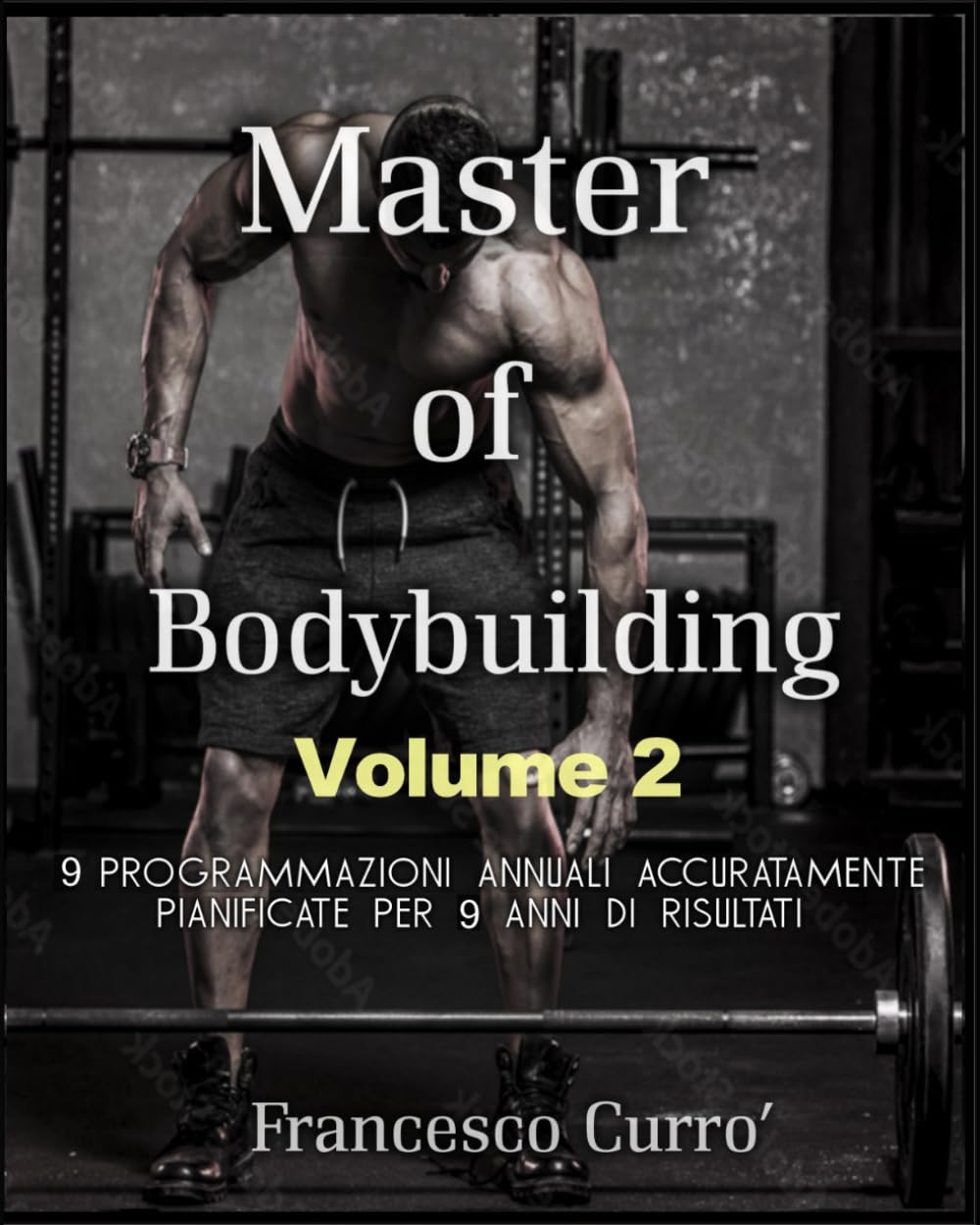 Master of Bodybuilding - Vol 2: 9 Programmazioni annuali per 9 anni di risultati!
