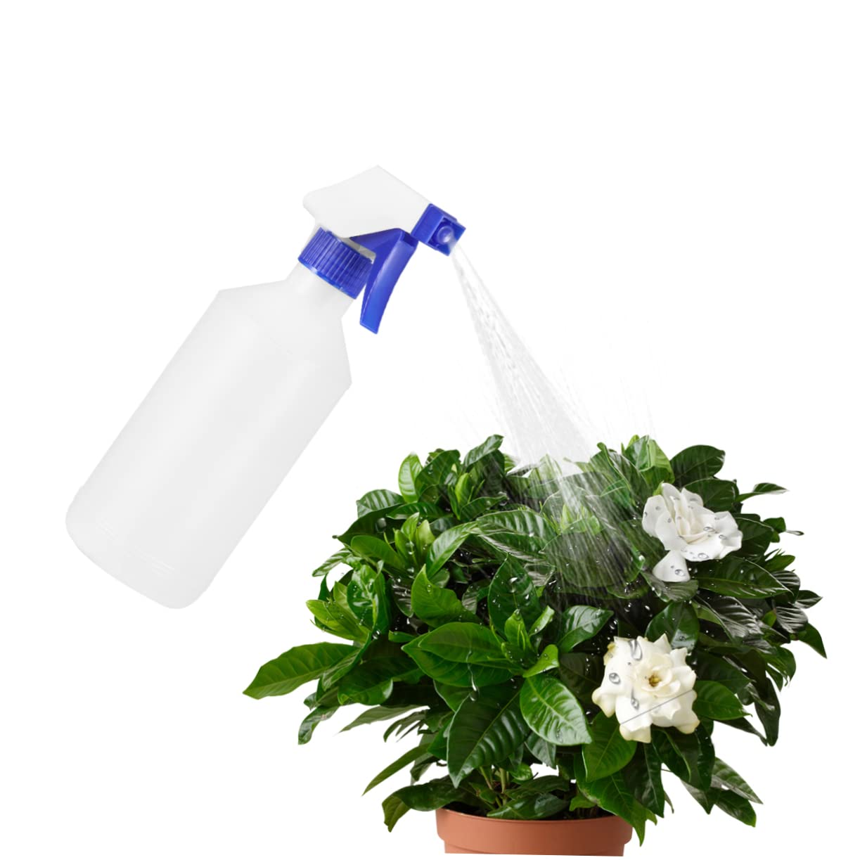 12St Wassersprüher haarspray got2be haarlack Reinigungsmittel aromatherapie waschbecken Friseur Sprühgerät für Zimmerpflanzen Haargel sprühen Anlage Behälter Haarsprayflaschen Blue