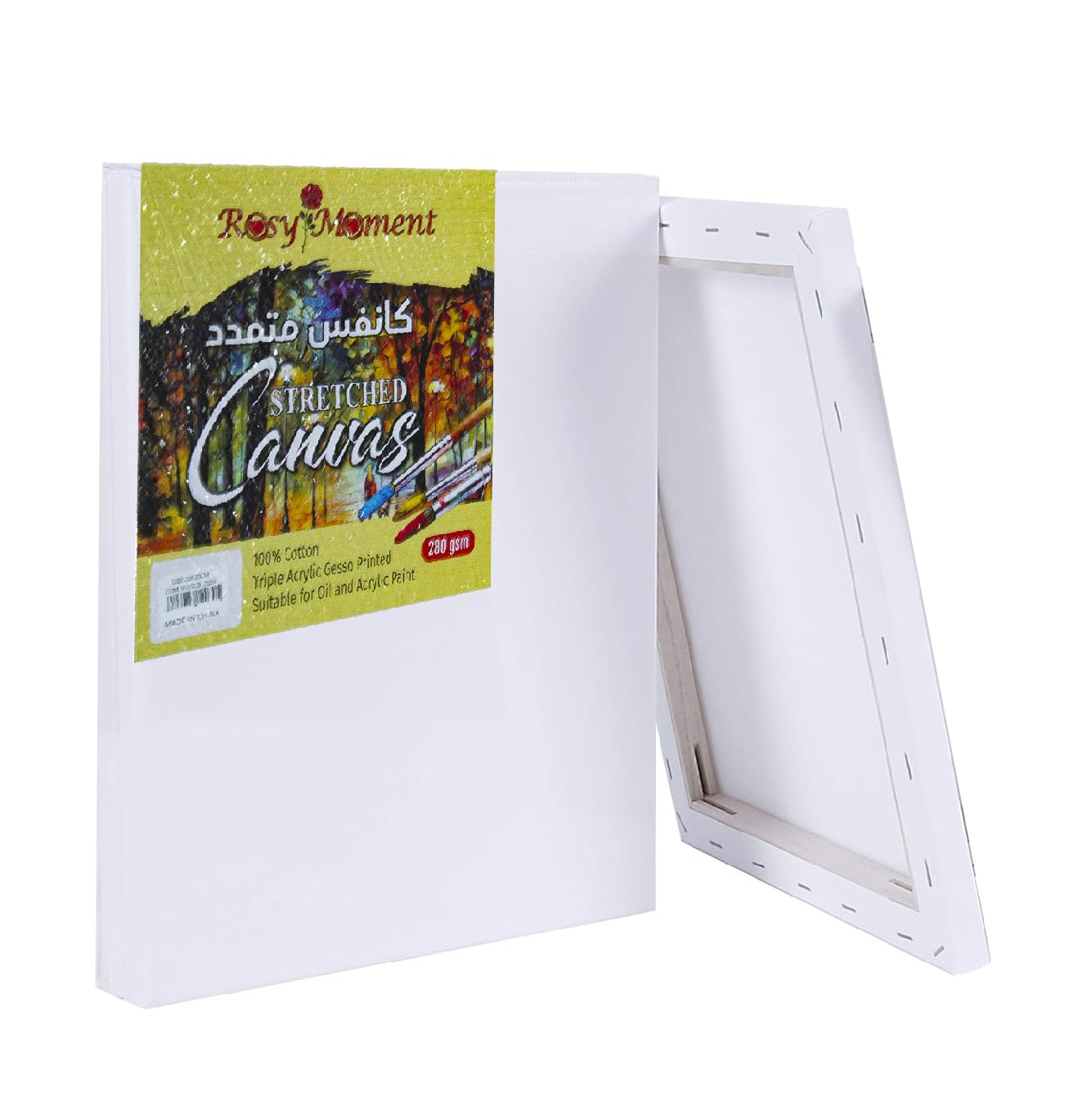 Square Blank Canvas 20Cm X 30 Cm White - 100% Cotton Artist Canvas Boards For Painting, Acrylic Pouring, Oil, Water Color Paint Dry & Wet Art Media