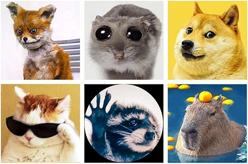 Vista 26 de LuwoArte Paquete de 6 Kits de Pintura de Diamantes para Adultos – Kits de Arte de Diamantes Temáticos de Flores – Arte de Gemas DIY de Taladro Campo