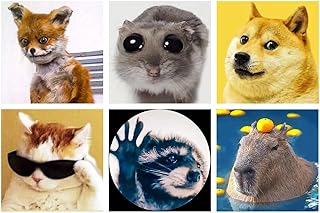 LuwoArte 6 Pack Diamond Painting Kits for Adults – Funny Meme Animals – Full Drill DIY Paint Gem Art for Adults – Brilliant 5D Diamond Painting Kit – Relaxing Craft for Home Wall …