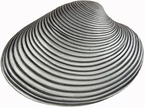 Pomo de gabinete de concha de almeja artesanal, peltre antiguo