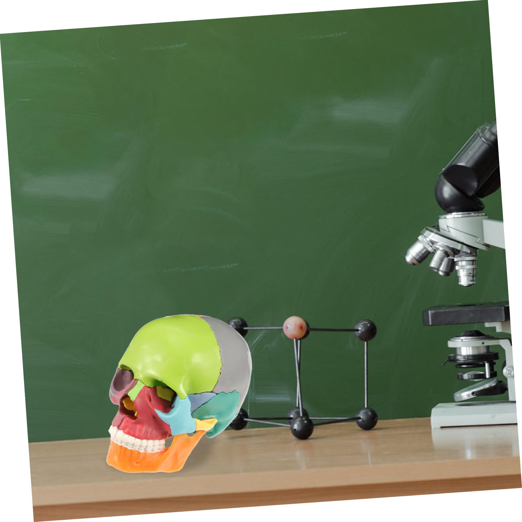 iplusmile Modellino di Teschio, Modello di Cranio, 22 Pezzi, Modello di anatomia del cranio, Smontabile Skull Cervello Medica della Testa del Cranio Modello per Studente di Medicina