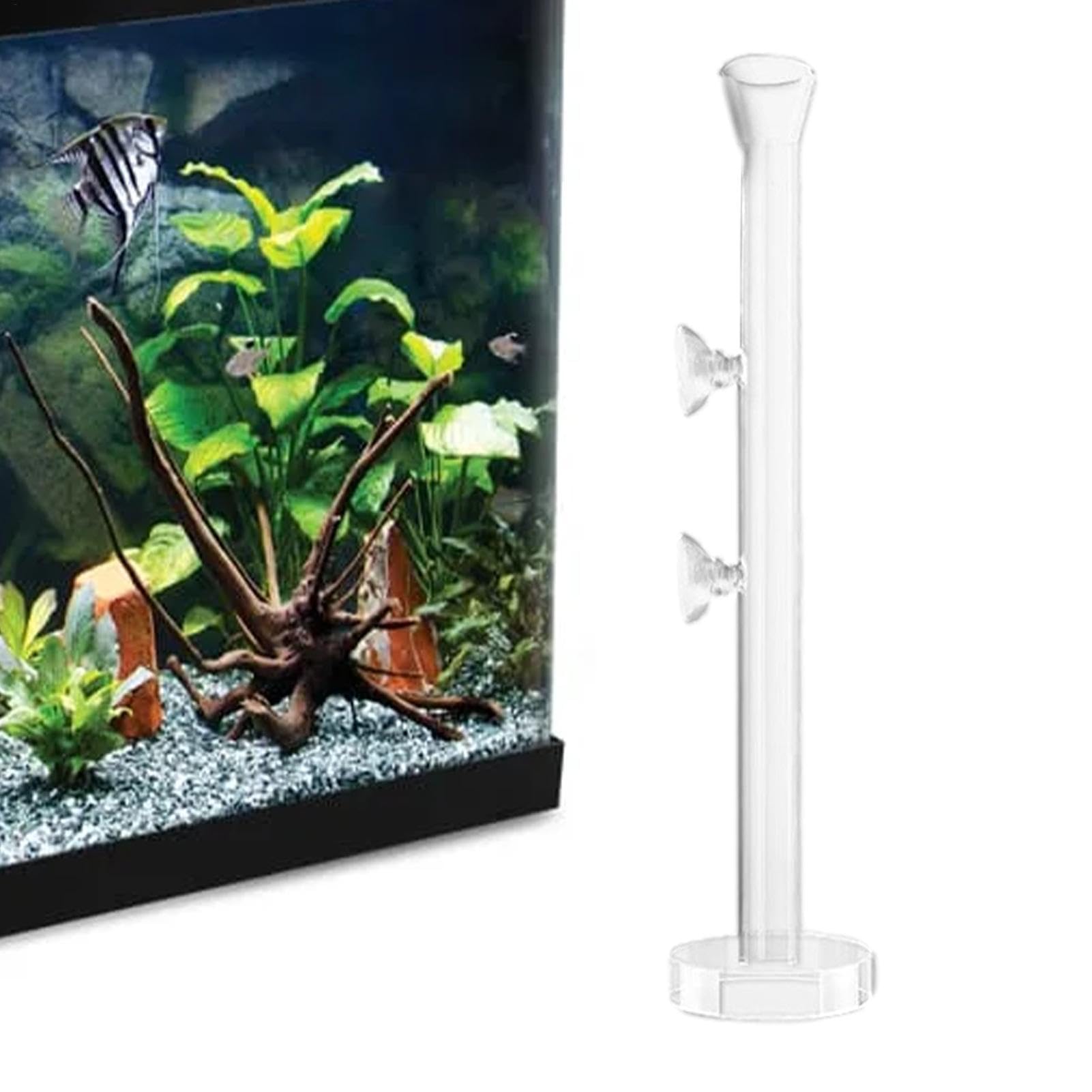 Shrimp Feeding Dish Shrimp Feeder Tube Aquarium Dish Bowl