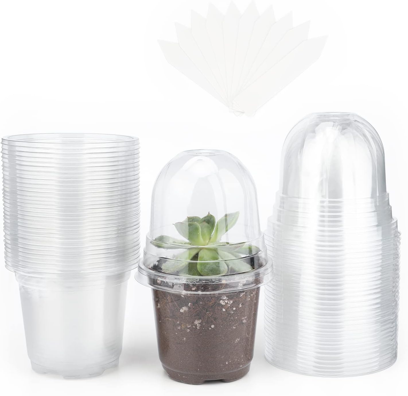 12 Stück Anzuchttöpfe Mit Feuchtigkeitskuppel - Transparente Pflanztöpfe 9cm Für Setzlinge