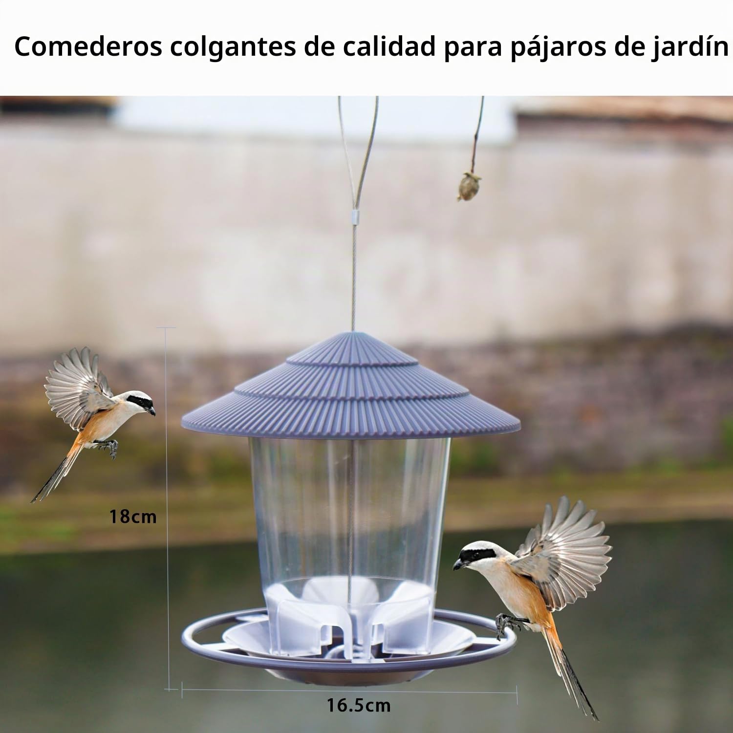 Comedero Pajaros Exterior, Colgante Comedero para Pájaros, TOOSOAR Pajarera Colgante, Dispensador de Semillas para Pájaros de Exterior, Gris