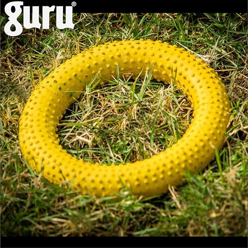 Image of Guru Sponge Filled Dotted 1 Pc Rubber Tennikoit Ring Sports Rubber Tennikoit Ring