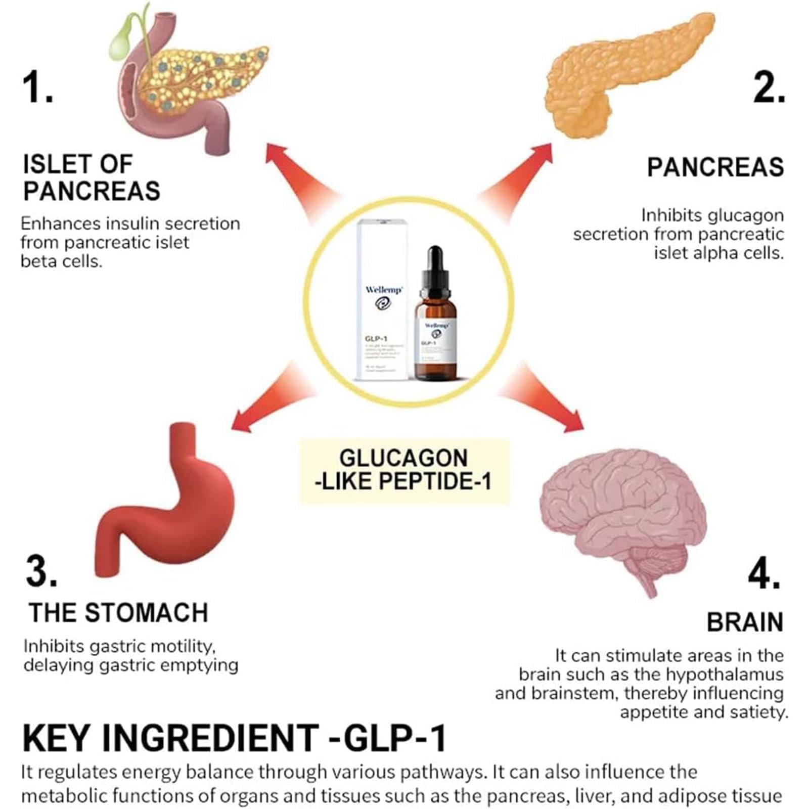 glp-1 clinics fort walton beach fl Wegovy Weight Loss Injections & Clinics Near You