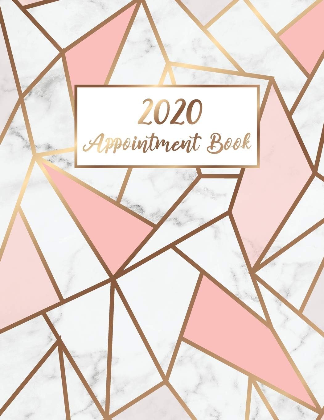 2020 Appointment Book: Marble Line Gold | 365 Days with Times Daily and Hourly W/ To Do List Schedule Agenda Logbook | 2020 Diaries Appointment Book ... Appointment Book 2020 Daily and Hourly) Paperback โ 22 Sept. 2019