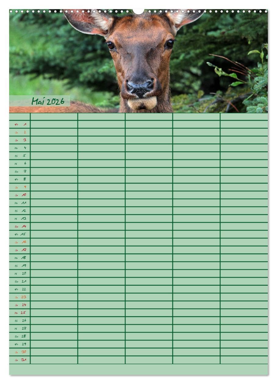 Tierischer Familienplaner (hochwertiger Premium Wandkalender 2026 DIN A2 hoch), Kunstdruck in Hochglanz: Deine tierische Hilfe beim Planen von Schule, Beruf, Haushalt und Freizeit (CALVENDO Tiere)