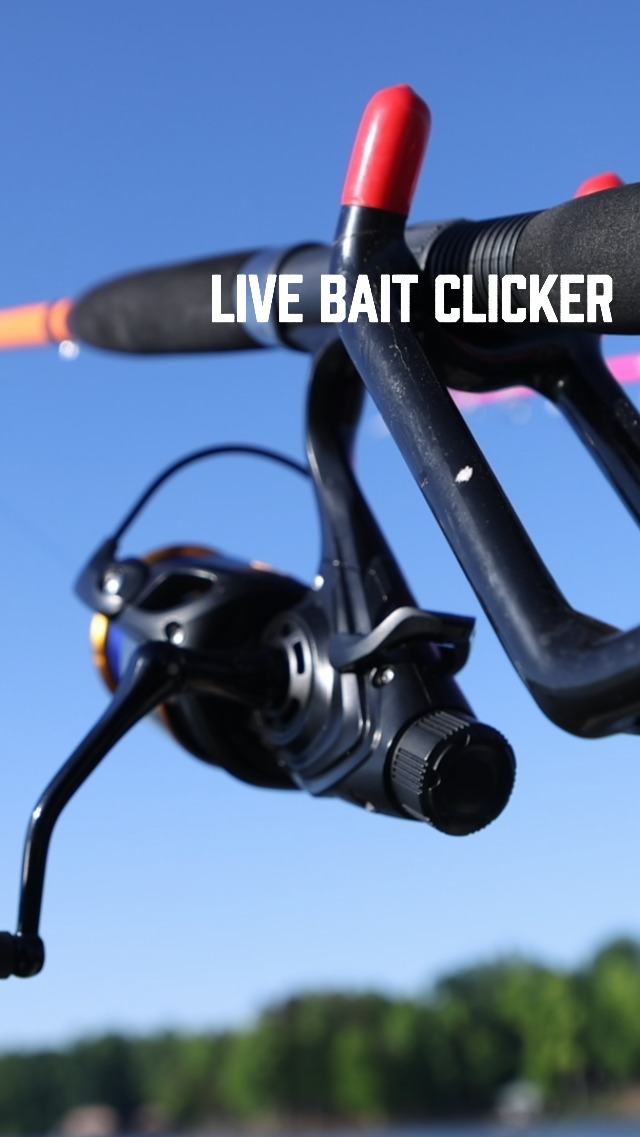 PRECIO TOURNAMENT SPECIAL 磯1.25- 530 Amazon.com : Catfish Pro Tournament Series Spinning Reel 600 STS