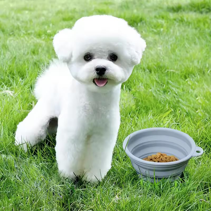 Image of FURCO Foldable Dog Cat Bowls, Non-Toxic & 100% Safe BPA Free, Food-Grade, Portable Bowl for Small to Medium Sized Dogs and Cats with Carabiner Clip for Traveling, Home use, 2 Pcs of 400 ml Bowl